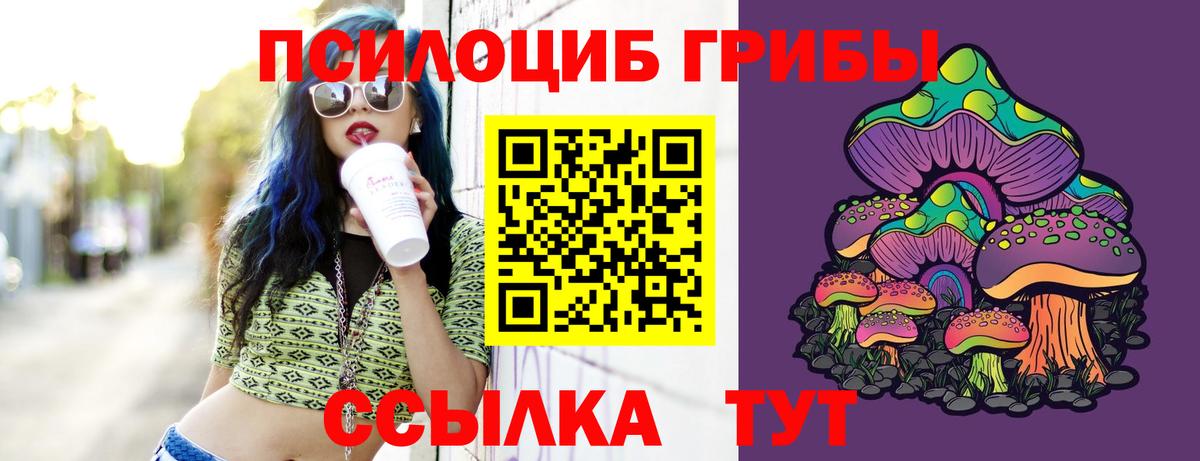 Галлюциногенные грибы мицелий Красный Сулин